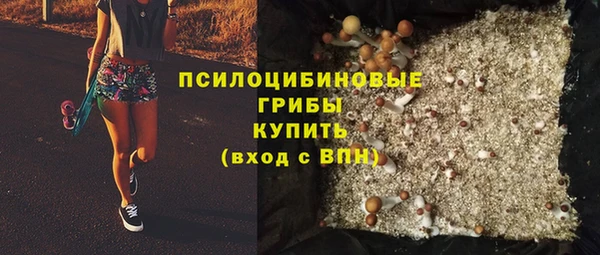 мет Арсеньев