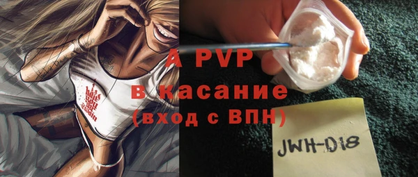 шишки Аркадак