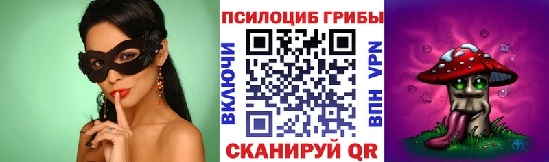 сайты даркнета наркотические препараты  Кингисепп  гидра как зайти  Галлюциногенные грибы Cubensis  магазин продажи наркотиков 